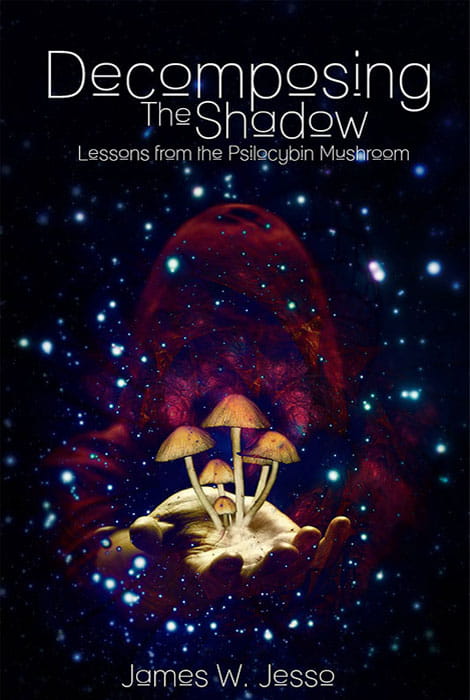 Decomposing the Shadow Book Cover Image - Book to read about psilocybin mushrooms