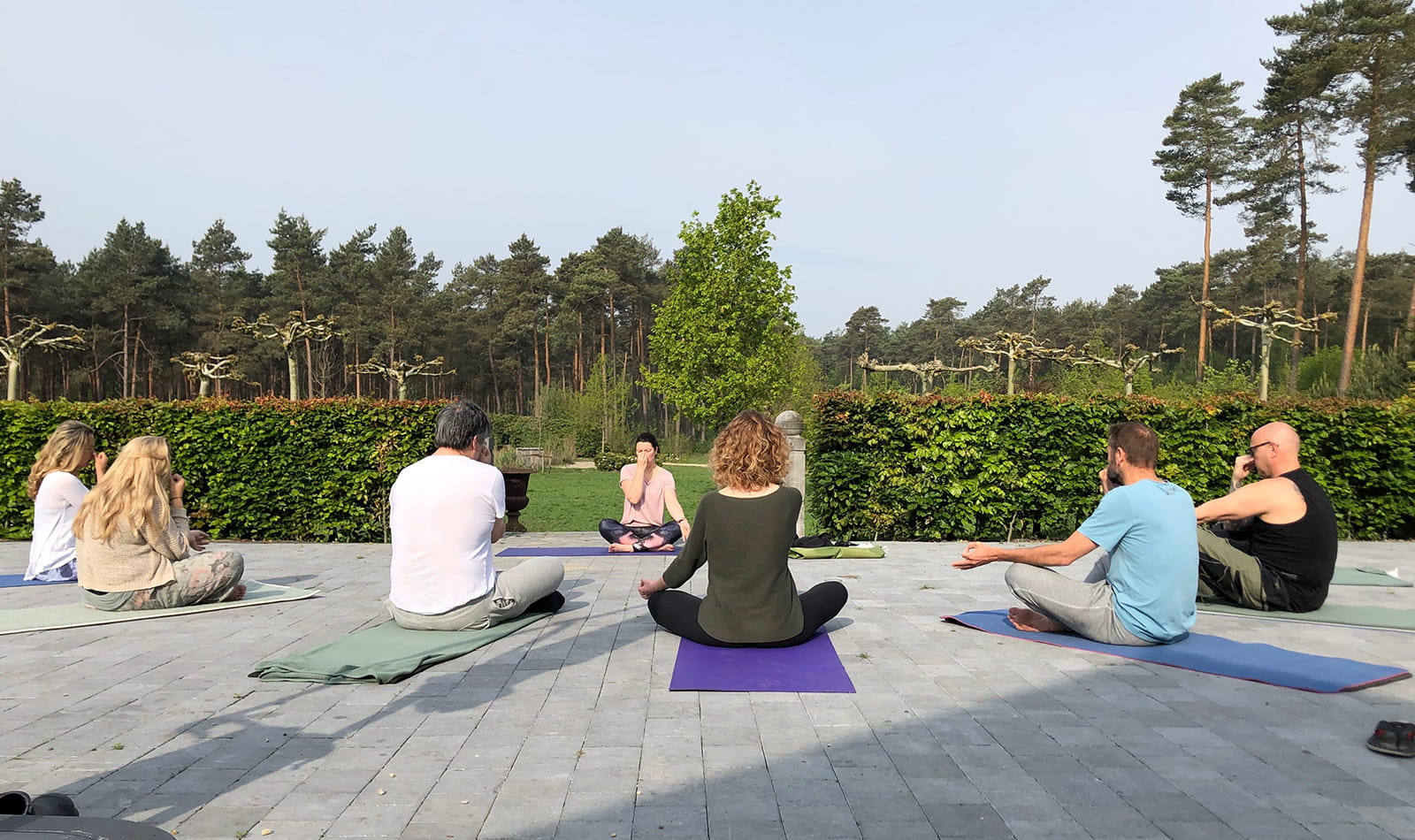 psilocybin retreat