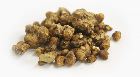 Psilocybin containing truffle Psilocybin containing truffle