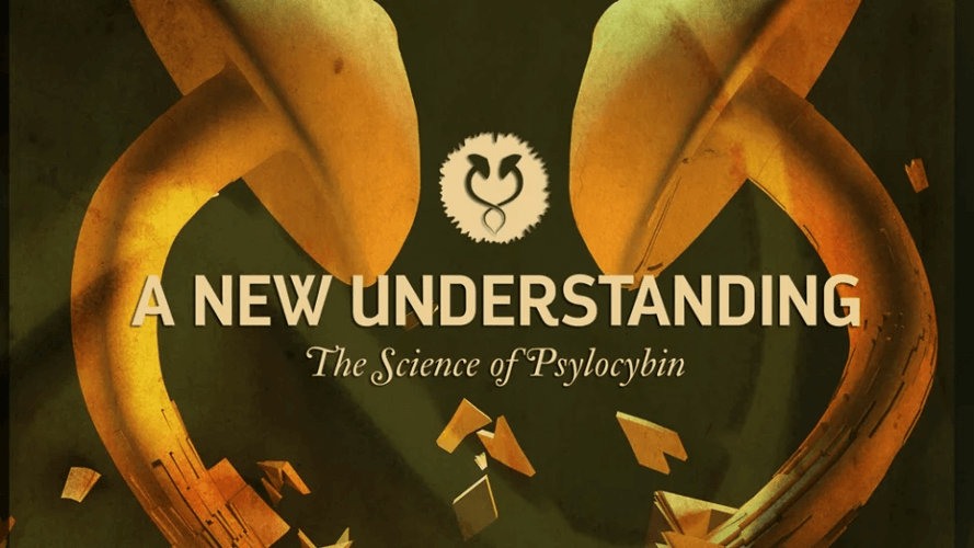 science of psilocybin