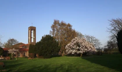 Magnolia in bloei